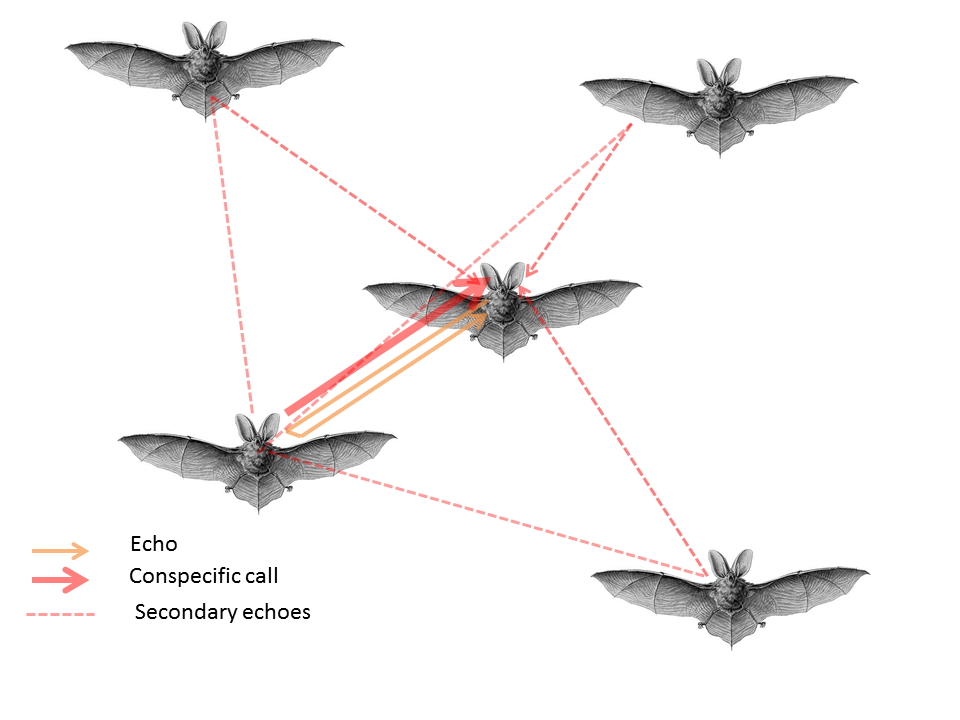 ../images/modelling_schematic.png